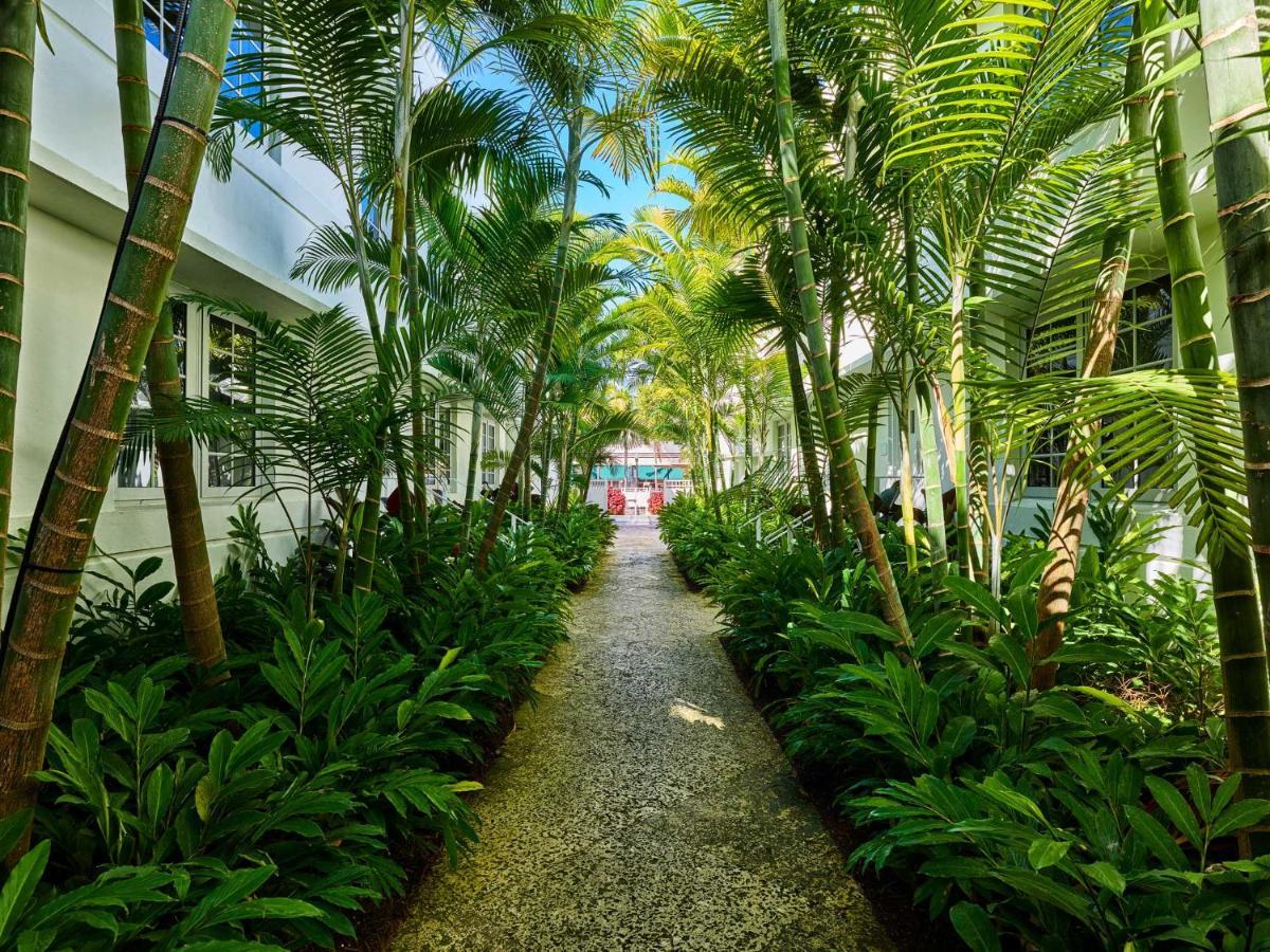Axel Beach Miami-South Beach - Adults Only Miami Beach Exteriör bild